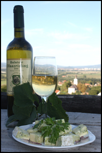 Ungarische Riesling Weißwein von Balaton Ungarn