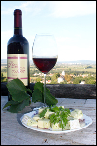 Ungarische Pinot-Noir Rotwein von Balaton Ungarn