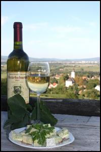Hungarian Gray friar white wine from Balaton Hungary